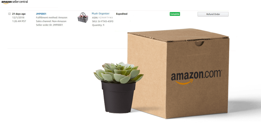 Screenshot of Amazozn Seller Central with box and succulent in foreground
