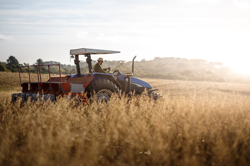Traktor und Fahrer im Weizenfeld